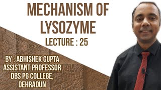 Lecture 25 Mechanism of Lysozyme Chemistry of Lysozyme [upl. by Gerge827]