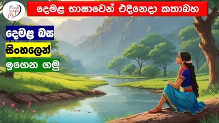 අපි දෙමළ කතා කරමු  මූලික පාඩම්  Lets Speak Tamil  Basic to Advanced Lessonsquot  Punchi Danuma [upl. by Mair658]