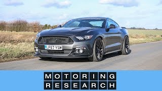 Steeda Q500 Enforcer a modified Mustang  Motoring Research [upl. by Yrret]