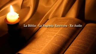 La Biblia Católica en audio 04 Evangelio según San Mateo Capítulo 11 y 12 [upl. by Sauveur]