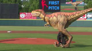 Welcome to Hickory Crawdads Baseball [upl. by Naloc969]