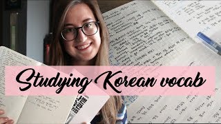 How I study Korean vocabulary  한국어 공부법 [upl. by Alikee]