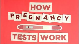 Pregnancy 101 How pregnancy tests work [upl. by Mateusz]