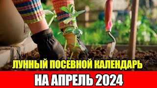 Лунный Посевной Календарь на АПРЕЛЬ 2024  Сажаем только в БЛАГОПРИЯТНЫЕ ДНИ [upl. by Benny496]