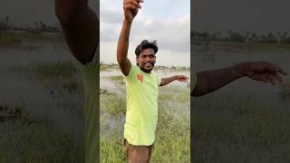 fishinglife bigfish fishcutting fishing fishingvideo bigfishcutting trending ganeshvlogs [upl. by Bomke960]