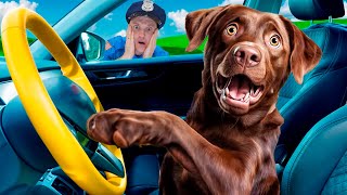 We are in the car Police Song  Nursery Rhymes amp Childrens Song  Rich and the Detective [upl. by Bate862]