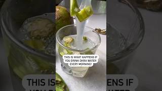 OKRA WATER  THIS IS WHAT HAPPENS shorts youtubeshorts juice health okra female recipe shots [upl. by Ri423]