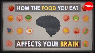 How the food you eat affects your brain  Mia Nacamulli [upl. by Bellis]