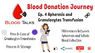 Ep4 Apheresis and Granulocytes Transfusion Blood Donation Journey [upl. by Janice498]