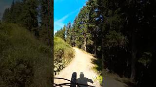 In the flow mtb gopromax flowline schladming [upl. by Zabrine]