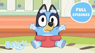 Heeler Family Time 💙 🧡  Full Episodes  Baby Race Asparagus and More  Bluey 💙 [upl. by Meyers]