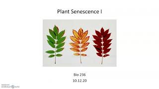 Plant Senescence Basics [upl. by Brunhild654]