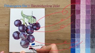 무한도전 수채화편 조색한 색으로 그림을 그려봐요 Bezimidazolone VioletPV32  Phthalocyanine BluePB153 자막있음 [upl. by Arette]