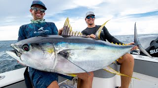 Monster Yellowfin Tuna [upl. by Cindra224]