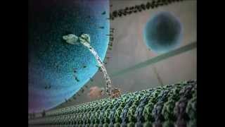 Kinesin protein walking on microtubule [upl. by Everson]