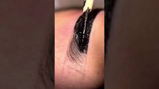 Brow Henna Application 🔗 By Supercilium browhenna supercilium brows [upl. by Longley]