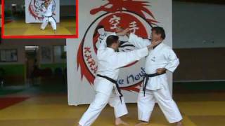 Bunkai Heian Yodan KCN [upl. by Cavan]