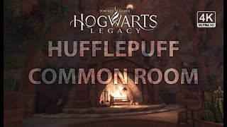 Cozy Hufflepuff Common Room Ambience  Crackling Fire Soft Warmth and Magic [upl. by Phebe897]