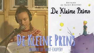 DE KLEINE PRINS  Widening Circles Audioboeken [upl. by Tertias]