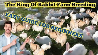 The King Of Giants Breeding Rabbit Easy Guide For Beginners [upl. by Larochelle]