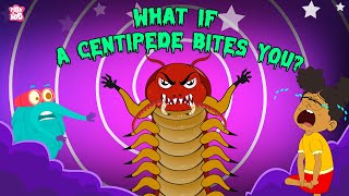 What if a Centipede Bites You  Are Centipedes Poisonous  Deadliest Insects  The Dr Binocs Show [upl. by Conal785]