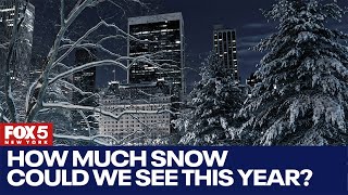 NYC winter 2024 How much snow could we see this year [upl. by Jayme]