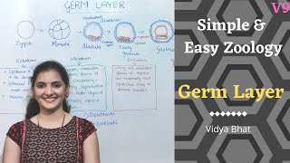 Germ Layers  Formation  Ectoderm  Endoderm  Mesoderm  Derivatives Diploblastic  Triploblastic [upl. by Suivatra]