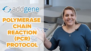 Polymerase Chain Reaction PCR Protocol [upl. by Elfont882]