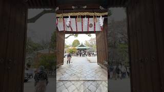 New Year’s Day at Kyotos Shiramine Shrine 白峯神宮 kyoto japan newyearsday [upl. by Nnaeirelav]