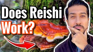 Reishi Mushrooms for Anxiety Cancer and Immune System  Are Reishi Mushrooms Safe [upl. by Mayap]