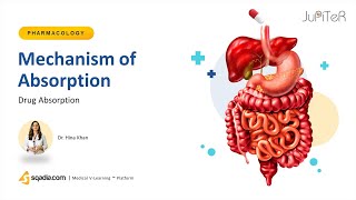 Drug Absorption Mechanism  Pharmacokinetics Lecture of Medical Pharmacology Course [upl. by Kinemod]