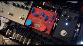 Cusack TapaWhirl  Strymon Timeline Filter Mode [upl. by Eirrehs95]