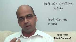 Kidney Stones Signs and Symptoms  Diagnosis  Prevention  Causes in Hindi [upl. by Radford]