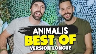 ANIMALIS LE BEST OF [upl. by Accber]