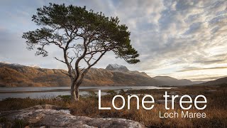 Photographing a lone tree at Loch Maree [upl. by Llednol460]