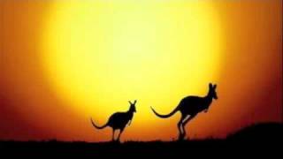 The Kangaroo Song [upl. by Bui]