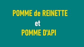 POMME de REINETTE et POMME DAPIKARAOKÉcomptine [upl. by Fritzsche957]