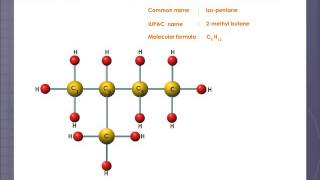 Isomers of Pentane [upl. by Panter]