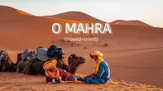 O MAHRA RAJSTHANI SONG   LOFI SLOWED REVERB NIGHT LOFI VIBES [upl. by Ayat]