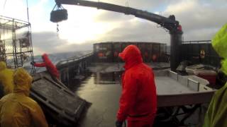 Bering Sea Opilio Crab Fishing [upl. by Tsenrae]