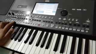 korg PA new indian styles demo 9033773457 [upl. by Patsis]