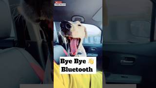 Tragic News Bluetooth 😰  minivlog [upl. by Jacques]