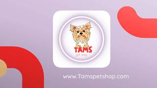 Discover TopQuality Pet Products at TamsPetShop [upl. by Eda]