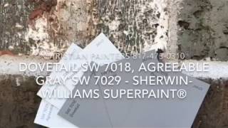 Dovetail SW 7018 Agreeable Gray SW 7029  SherwinWilliams SuperPaint® [upl. by Aikas539]