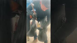 swfarrier farrier horse farriersoftiktok shoeing nailing BurberryTB foryoupage [upl. by Aynav]