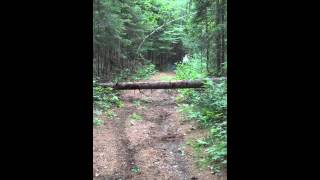 Graham Jarvis wheelie into log [upl. by Ettelrahc]