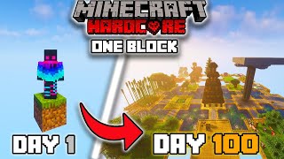 I Survived 100 Days In ONE BLOCK SKYBLOCK in Minecraft Hardcore [upl. by Coombs625]