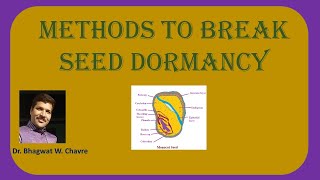 Methods To Break Seed Dormancy [upl. by Eecyaj]