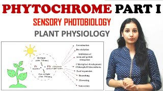 PHYTOCHROME PART I Sensory Photobiology I Plant Physiology I Photostationary Equilibrium I PHY GENE [upl. by Augustine913]