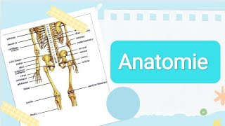 Anatomie  نصائح و مصادر سنة اولى طب 💙 [upl. by Aimee29]